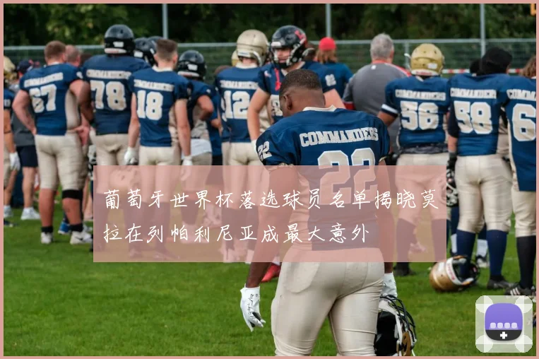葡萄牙世界杯落选球员名单揭晓莫拉在列帕利尼亚成最大意外